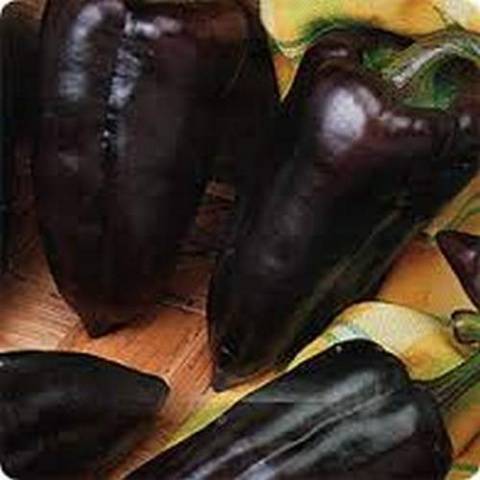Разновидности черного перца