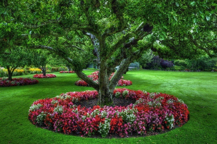 Красивые композиции из цветов в саду. Фото, таблица отражателей