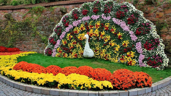 Красивые композиции из цветов в саду. Фото, таблица отражателей