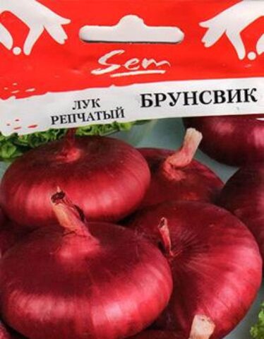 Красный (фиолетовый) лук: сорта и описание, фото, названия, для Московской области