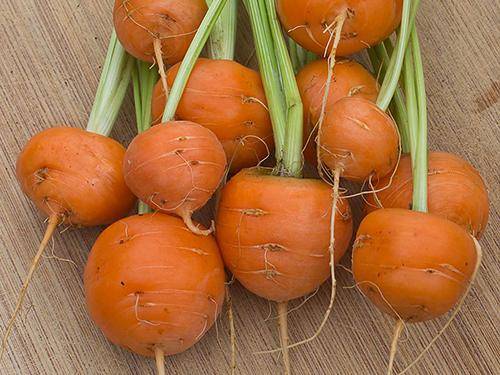 Круглая морковь