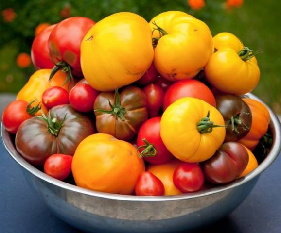 Лучшие сорта томатов для теплиц из поликарбоната