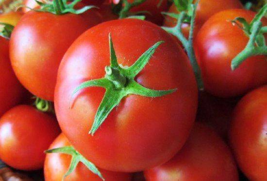 Лучшие сорта высокорослых томатов для открытого грунта