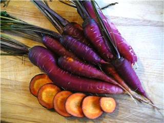 Необычные сорта разноцветной моркови