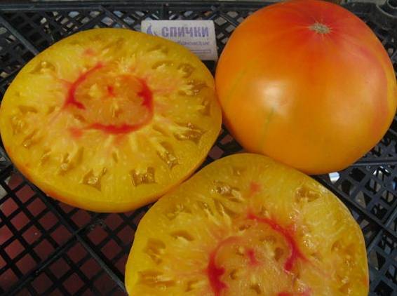 Поздние сорта тепличных томатов