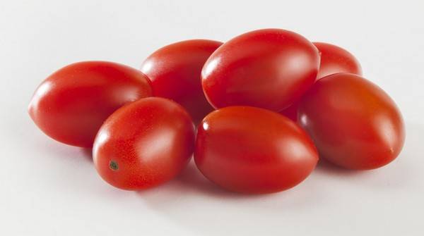 Стандартные сорта томатов для теплиц