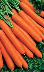 Сорта моркови с сердцевиной