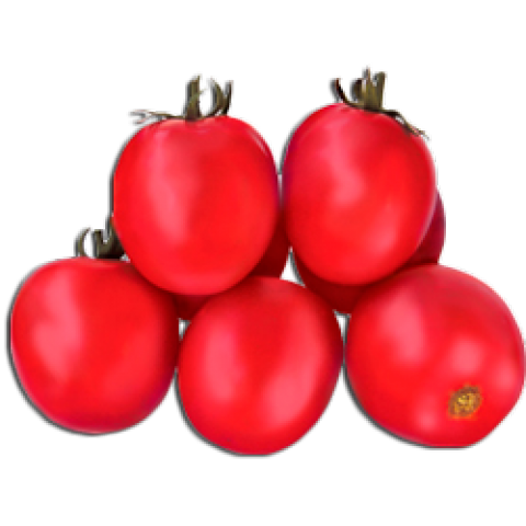 Сорта томатов для Краснодарского края
