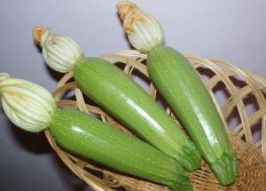 Урожайные и высокоурожайные сорта кабачка