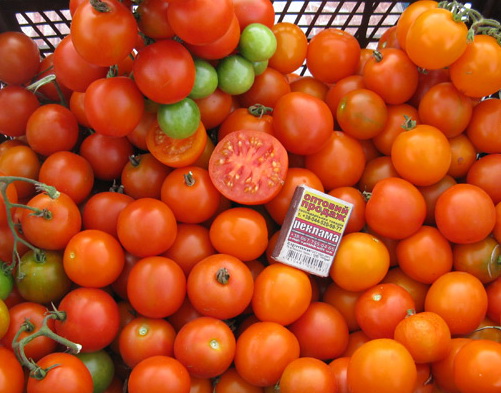 Высокорослые помидоры черри: описание сортов с фото
