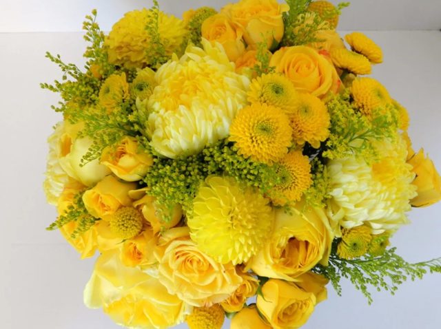 Желтые хризантемы: фото, описание, названия сортов